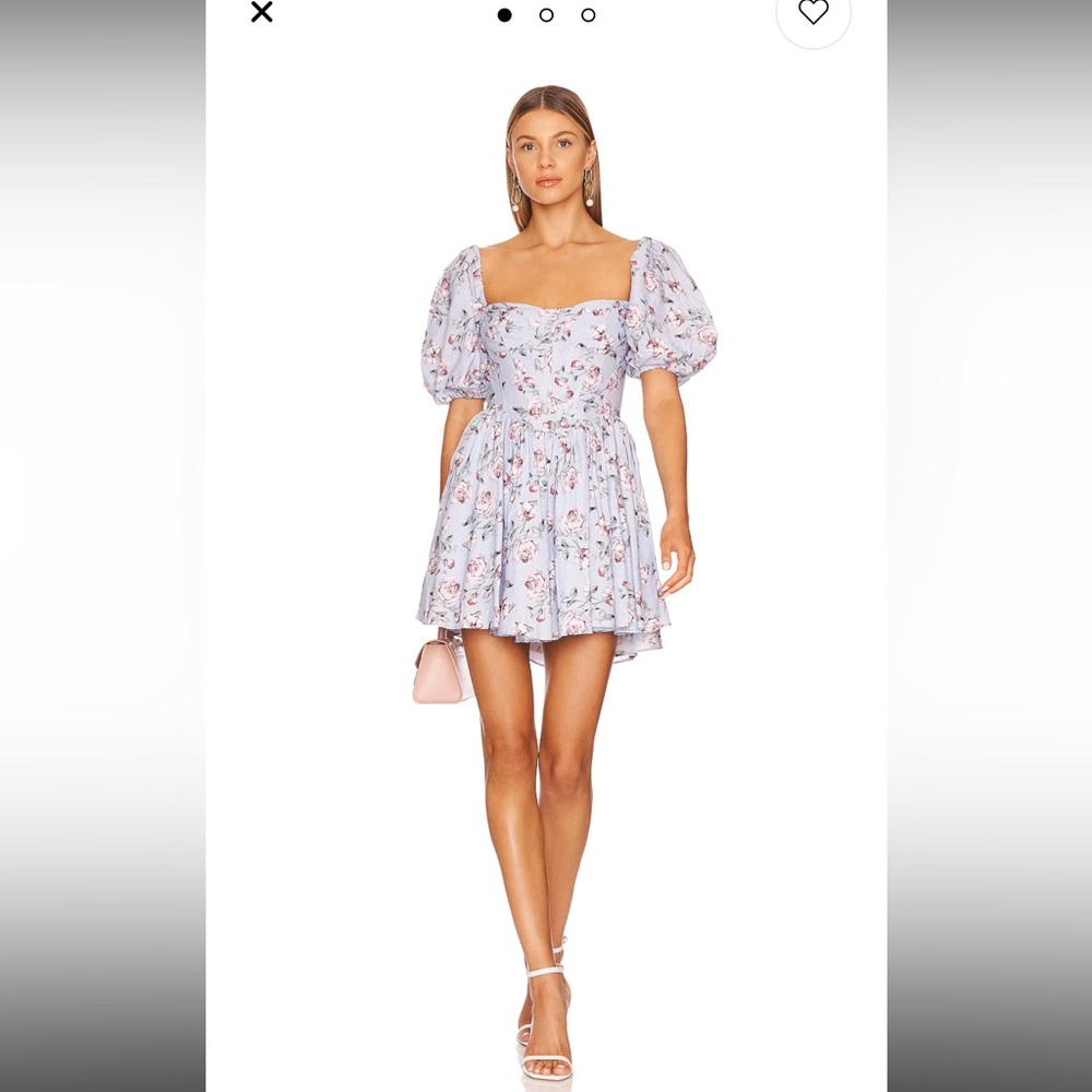 Kiah Corset Mini Dress in Rose Floral